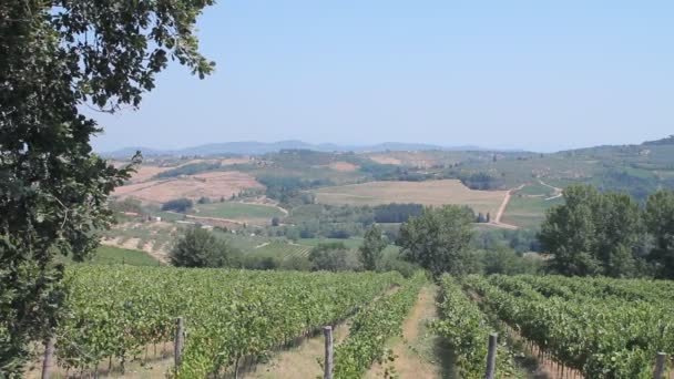 Campo da Toscana e videiras de Chianti — Vídeo de Stock
