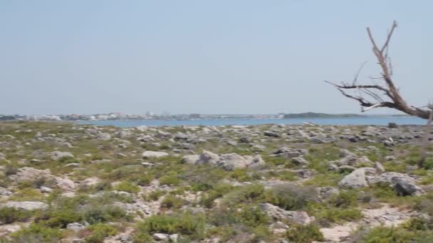 Ilha rochosa e mar — Vídeo de Stock