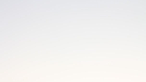 இந்திய அத்திமர காக்டுஸின் கிளைகளில் சூரியன் பிரகாசிக்கிறது — ஸ்டாக் வீடியோ