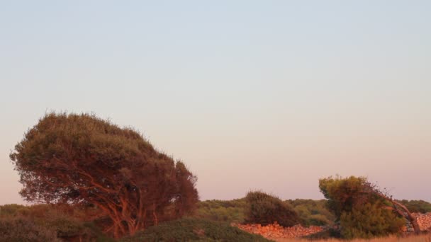 Jeune couple regardant le coucher du soleil — Video