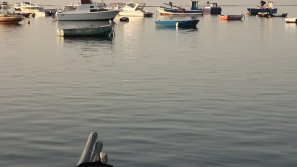 ドッキング ボート — ストック動画