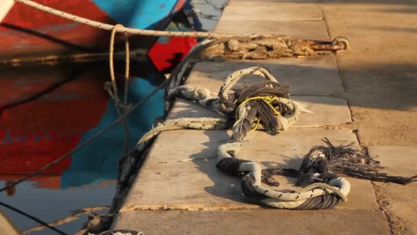 Рыбный рынок на юге Италии — стоковое видео