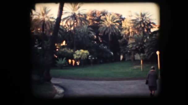 Vintage 8 mm. park med palmer — Stockvideo
