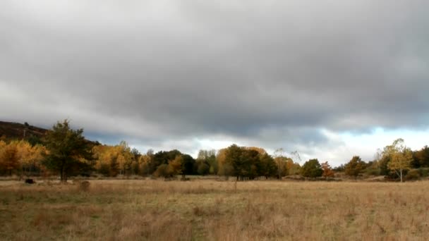 Spanish countryside with clouds. — Stock Video