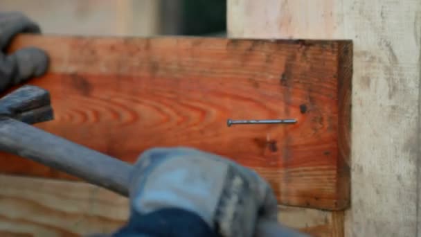 Ein Tischler, der mit dem Hammer einen Nagel fixiert — Stockvideo