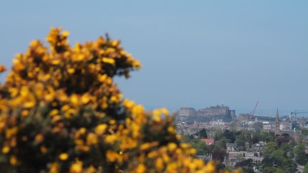 Vista del castillo en Edimburgo — Vídeos de Stock