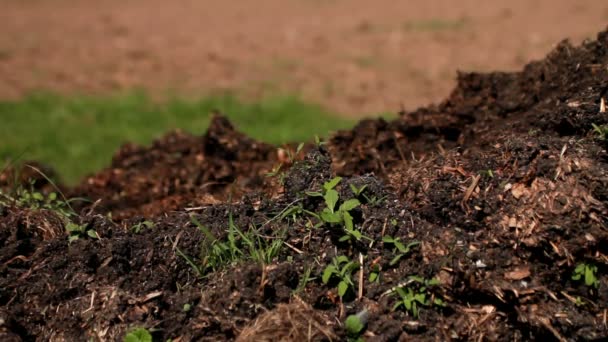 堆肥 — 图库视频影像