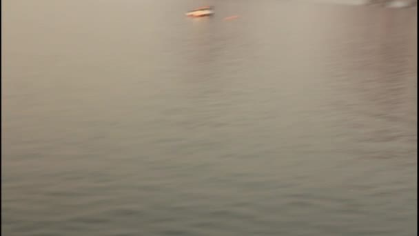 Mouette volant avec le pont Forth derrière - Mouvement lent — Video