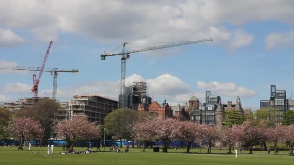 Förbereda en cricketmatch i parken — Stockvideo