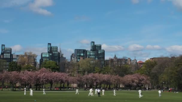 Time lapse of a cricket match in a park — Wideo stockowe