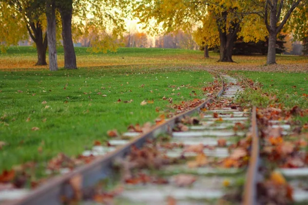 Minyatür tren yolu — Stok fotoğraf