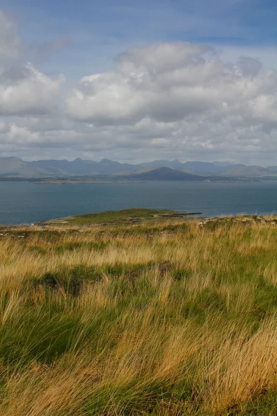 Gräset omfattas klippor med utsikt över halvön och havet Stockfoto