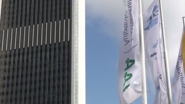 Flags of IAA — Stock Video