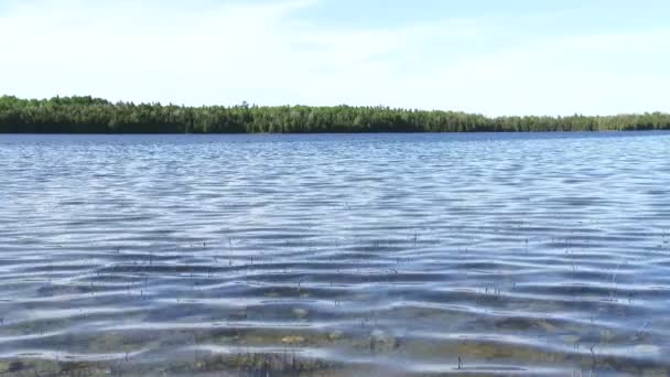 Panoramatický pohled Kypru Lake, Kanada — Stock video