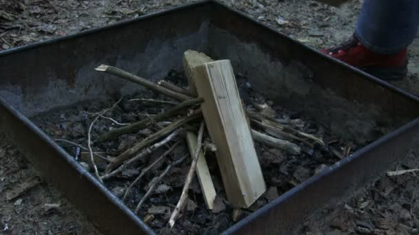 Жінка додає деревину на вогняну яму — стокове відео