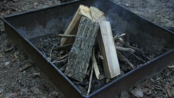 Fuego comenzando en el camping — Vídeos de Stock