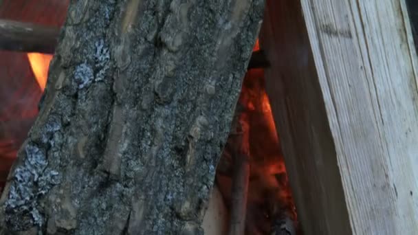 Madera ardiendo en hoguera en un camping — Vídeo de stock