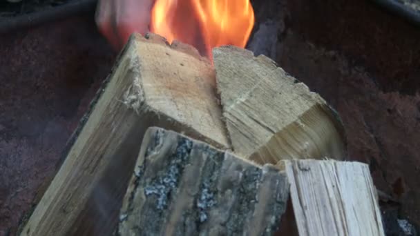 薪の火ピットのキャンプ サイトで — ストック動画