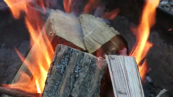 Holzverbrennung in Feuerstelle auf Zeltplatz — Stockvideo