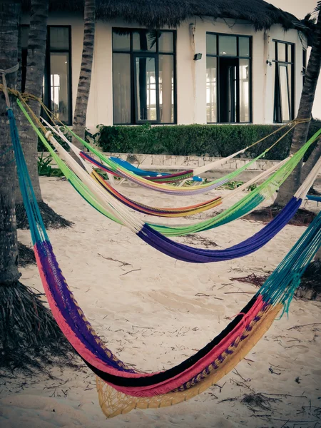 Palms with hammocks on sea cost in resort — Stock Photo, Image