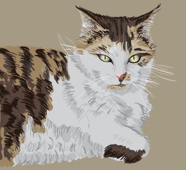 kedi resimli portre