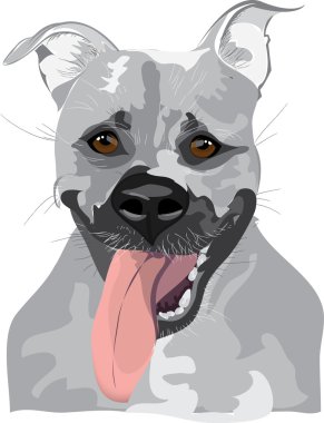 vektör köpek