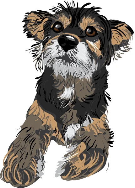 Bir köpeğin vektör çizimi