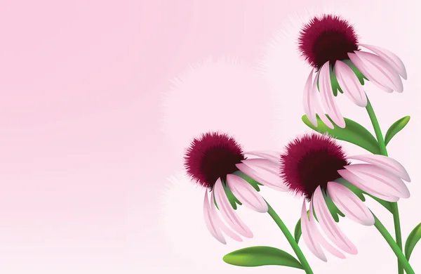Roze bloemen — Stockvector