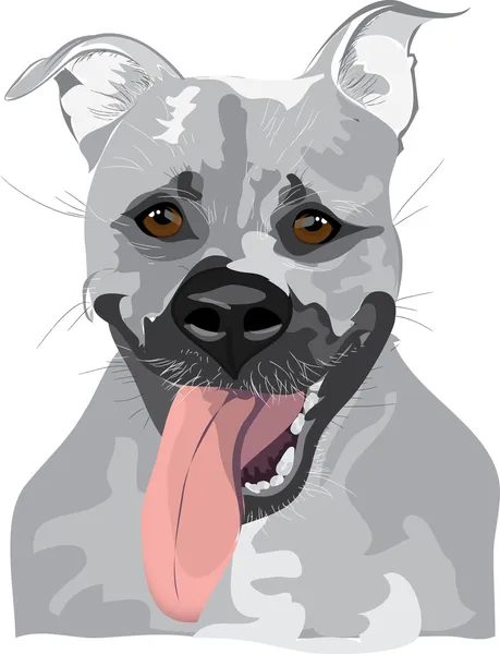 vektör köpek