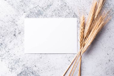 Kart şablon oluşturur, düz yatar, üst görünüm. Tarafsız bir arkaplanda kart. Mutfak, fırın ya da iş teması. Tasarım veya tarif kartı için boş kağıt sayfası.