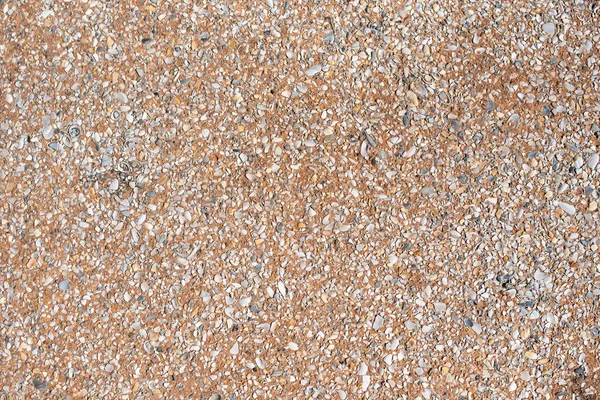 Pebble Concrete Sidewalk Background Texture — Stockfoto