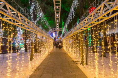 Sao Jose dos Pinhais Parana Brezilya, 27 Kasım. 2018: Noel Baba 'nın evinde Noel süsü.
