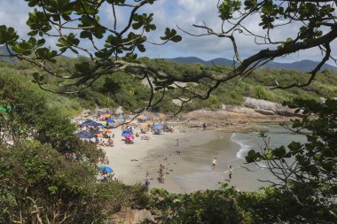 Florianopolis Santa Catarina Brezilya, 29 Aralık. 2018: Turistler Barra da Lagoa 'daki küçük sahilde yazın tadını çıkarıyorlar.