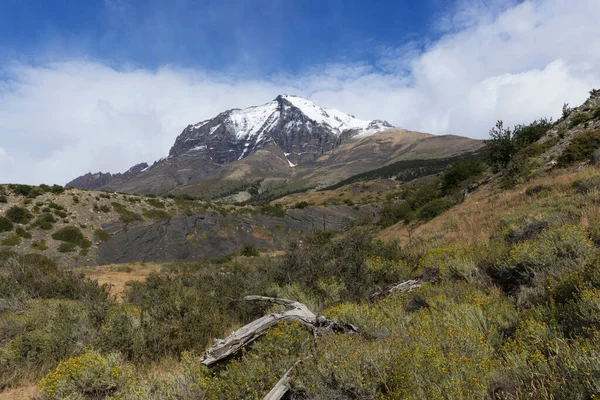 Paisagem Torres Del Paine Patagônia — Fotografia de Stock