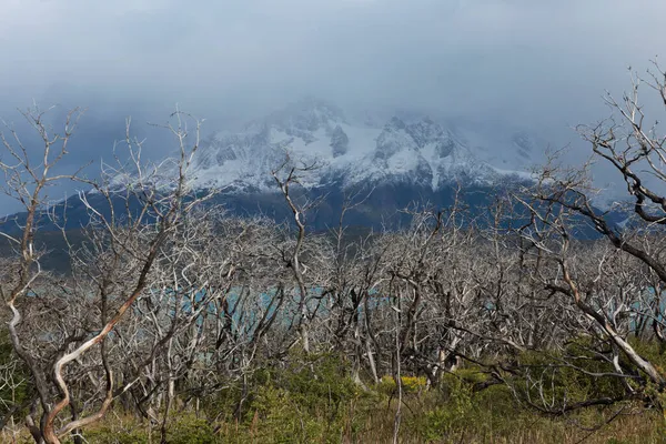 Krajobraz Torres Del Paine Patagonii — Zdjęcie stockowe