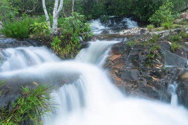 Chapada dos Veadeiros 'ta kristal şelale Alto Paraiso de Goias.