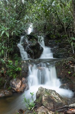 Chapada dos Veadeiros 'ta kristal şelale Alto Paraiso de Goias.