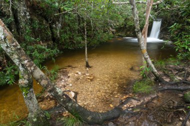 Chapada dos Veadeiros 'ta kristal şelale Alto Paraiso de Goias.