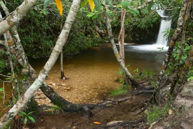 Chapada dos Veadeiros 'ta kristal şelale Alto Paraiso de Goias.
