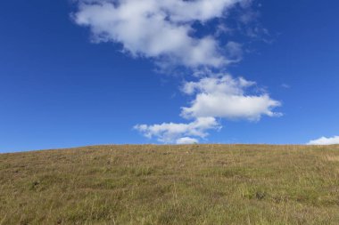 Taşra, sığır otlağı, bulutlu mavi gökyüzü..