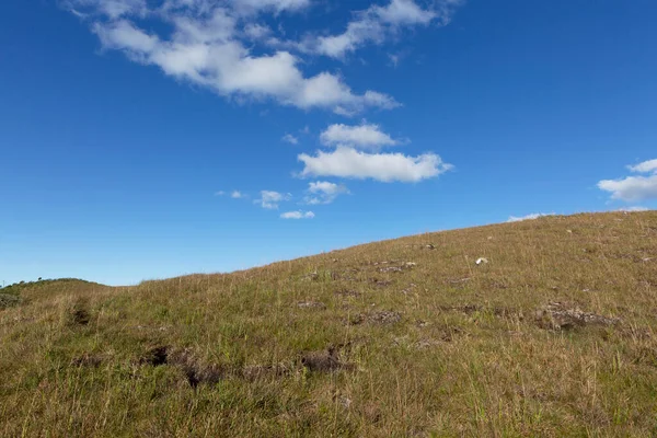 Taşra, sığır otlağı, bulutlu mavi gökyüzü..