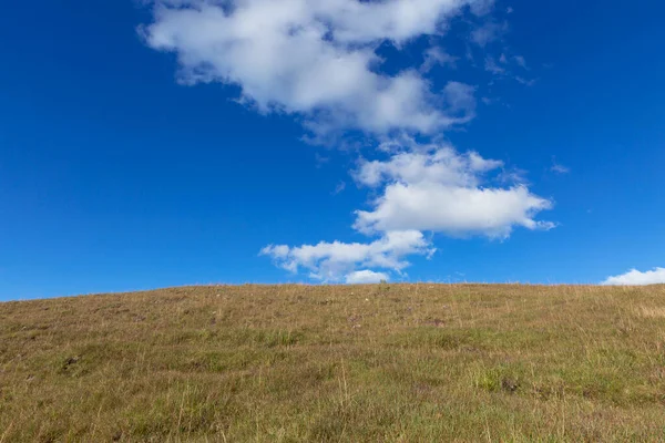 Taşra, sığır otlağı, bulutlu mavi gökyüzü..