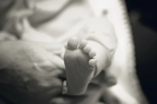 Baby ben i omsorgsfulde hænder - Stock-foto