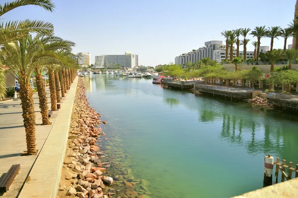 Soort(en) in eilat — Stockfoto