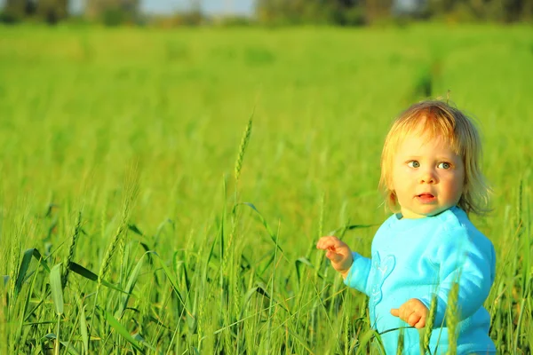 Niño en un campo de trigo Imagen De Stock