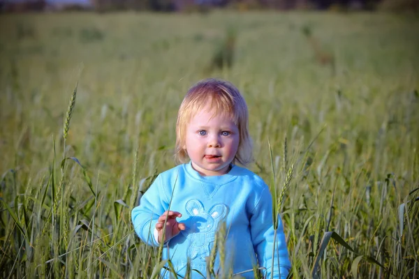 Bambino in un campo di grano — Foto Stock