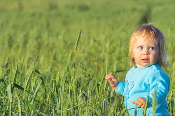 Bambino in un campo di grano — Foto Stock
