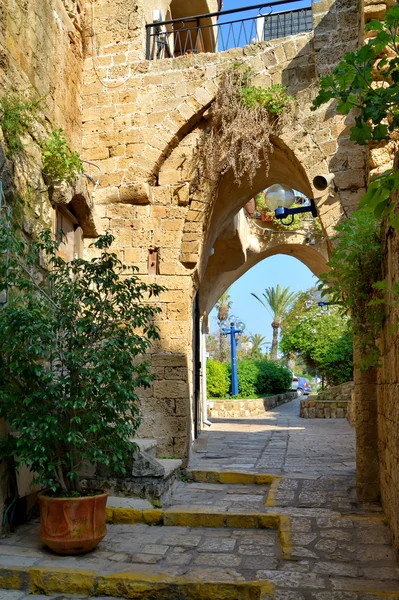 在老 yafo.tel aviv.israel 街 — 图库照片