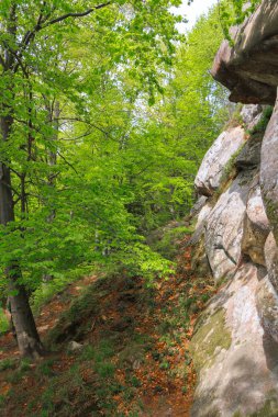 tustan - eski taş kale city, Ukrayna