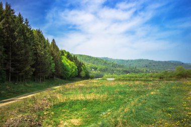 Karpat Dağları eteklerinde